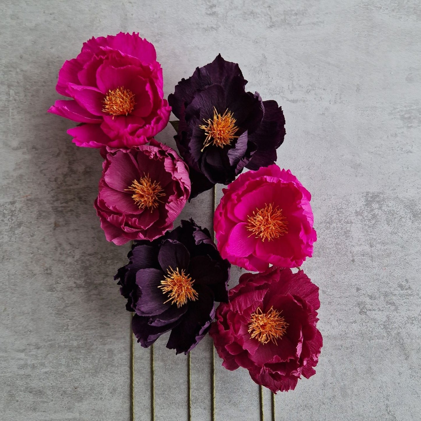 Crepepapirsblomster og crepepapirblomster evighedsblomster