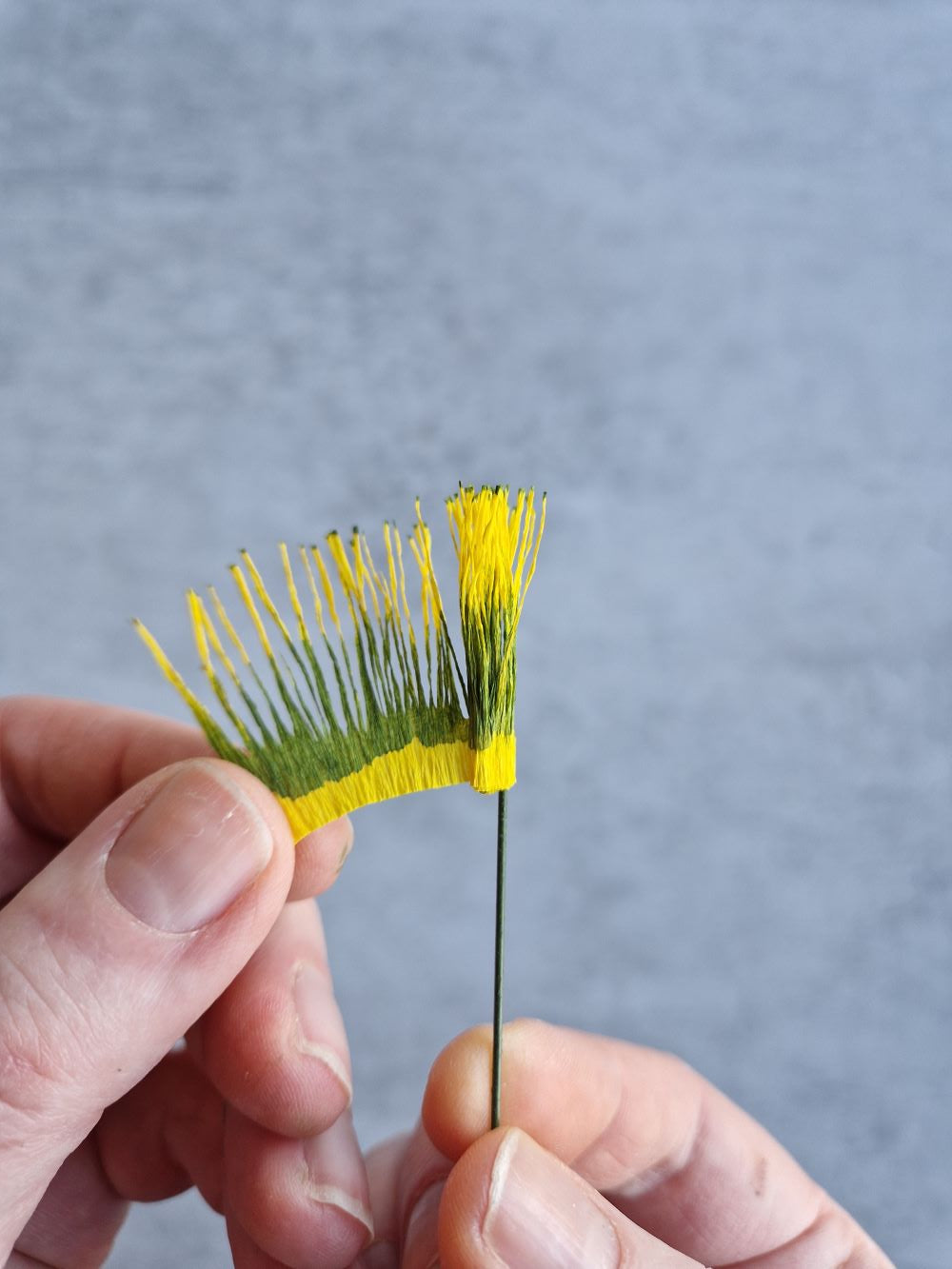 Blomstergren Blålilla mix - Papirblomst startkit.