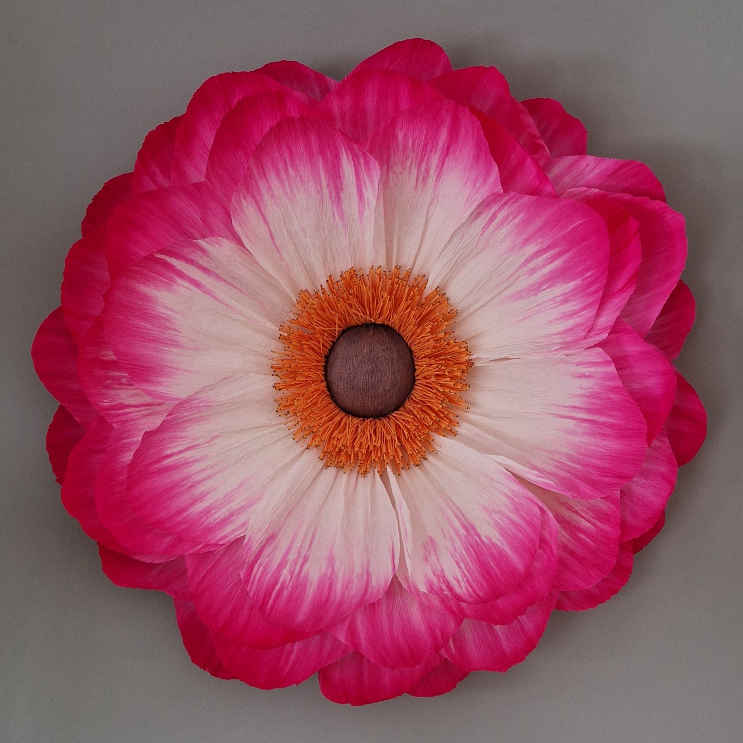 Stor hvid og lyserød vægblomst i indfarvet crepepair.