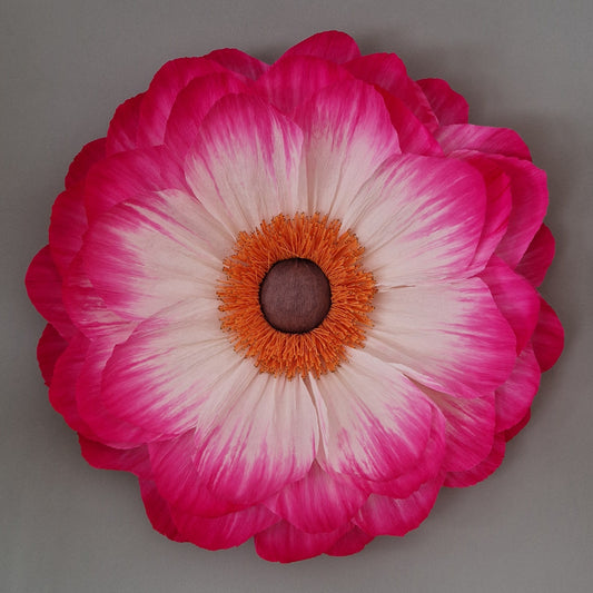 Stor hvid og lyserød vægblomst i indfarvet crepepair.