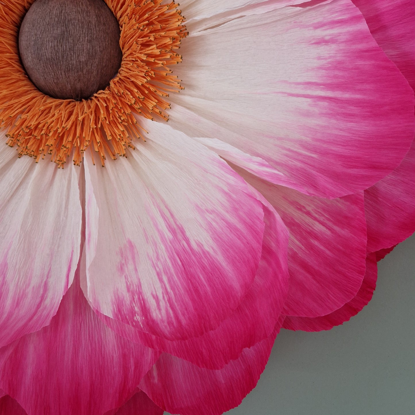 Stor hvid og lyserød vægblomst i indfarvet crepepair.