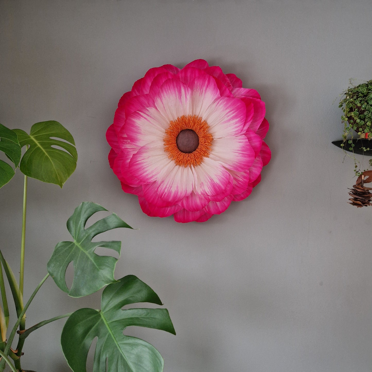 Stor hvid og lyserød vægblomst i indfarvet crepepair.