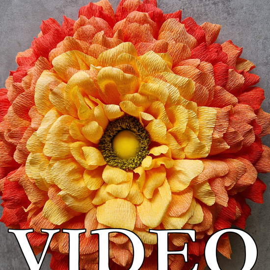 Orange vægblomst med lys